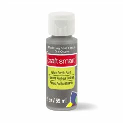 Hot Sale 🥰 Gloss Acrylic Paint by Craft Smart®, 2oz. ⌛